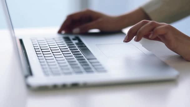 Creación de guiones con fluidez.